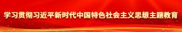 美女操逼aaaa学习贯彻习近平新时代中国特色社会主义思想主题教育